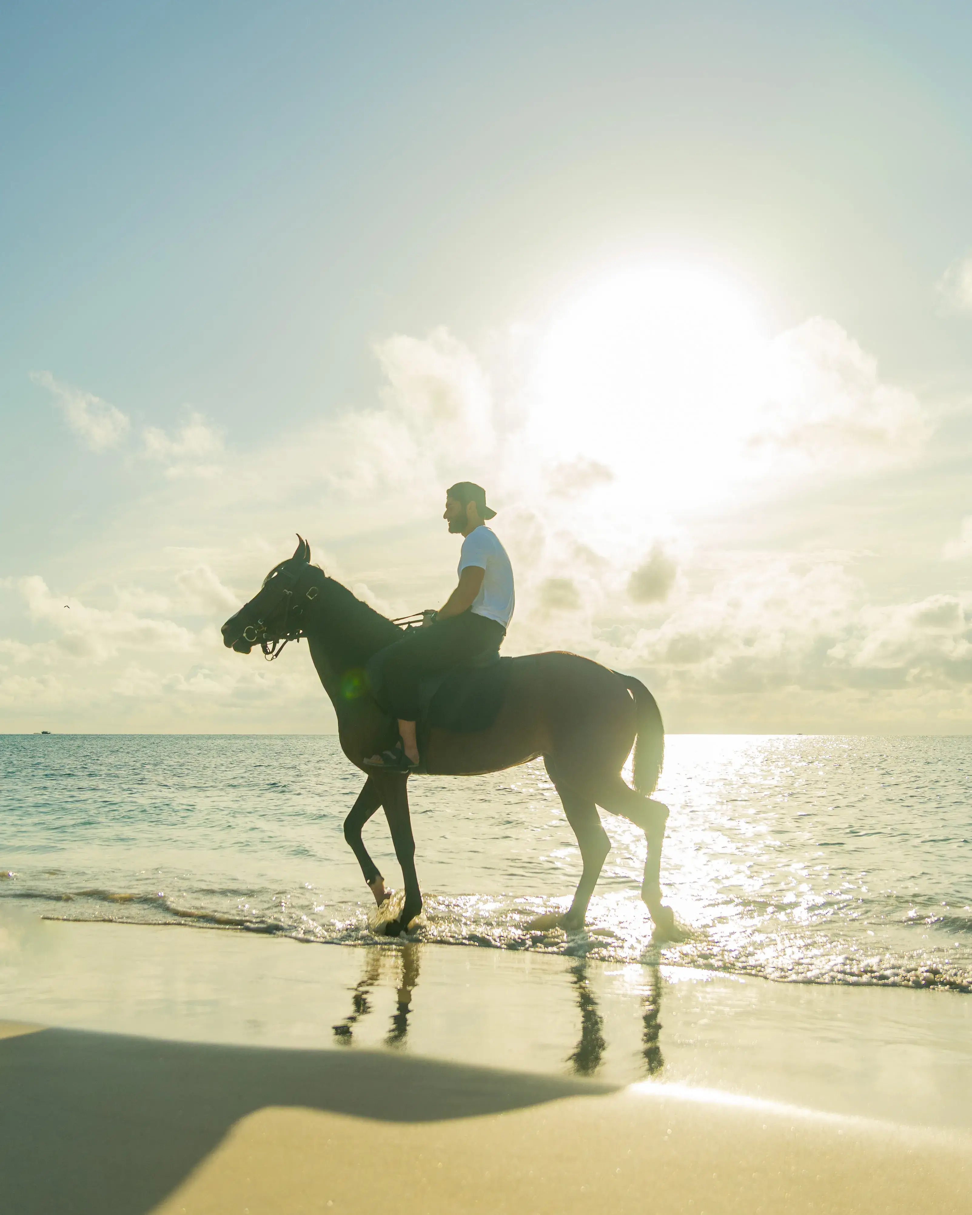 Видеосъемка с дроном на лошадях на Мальдивах gallery image 1