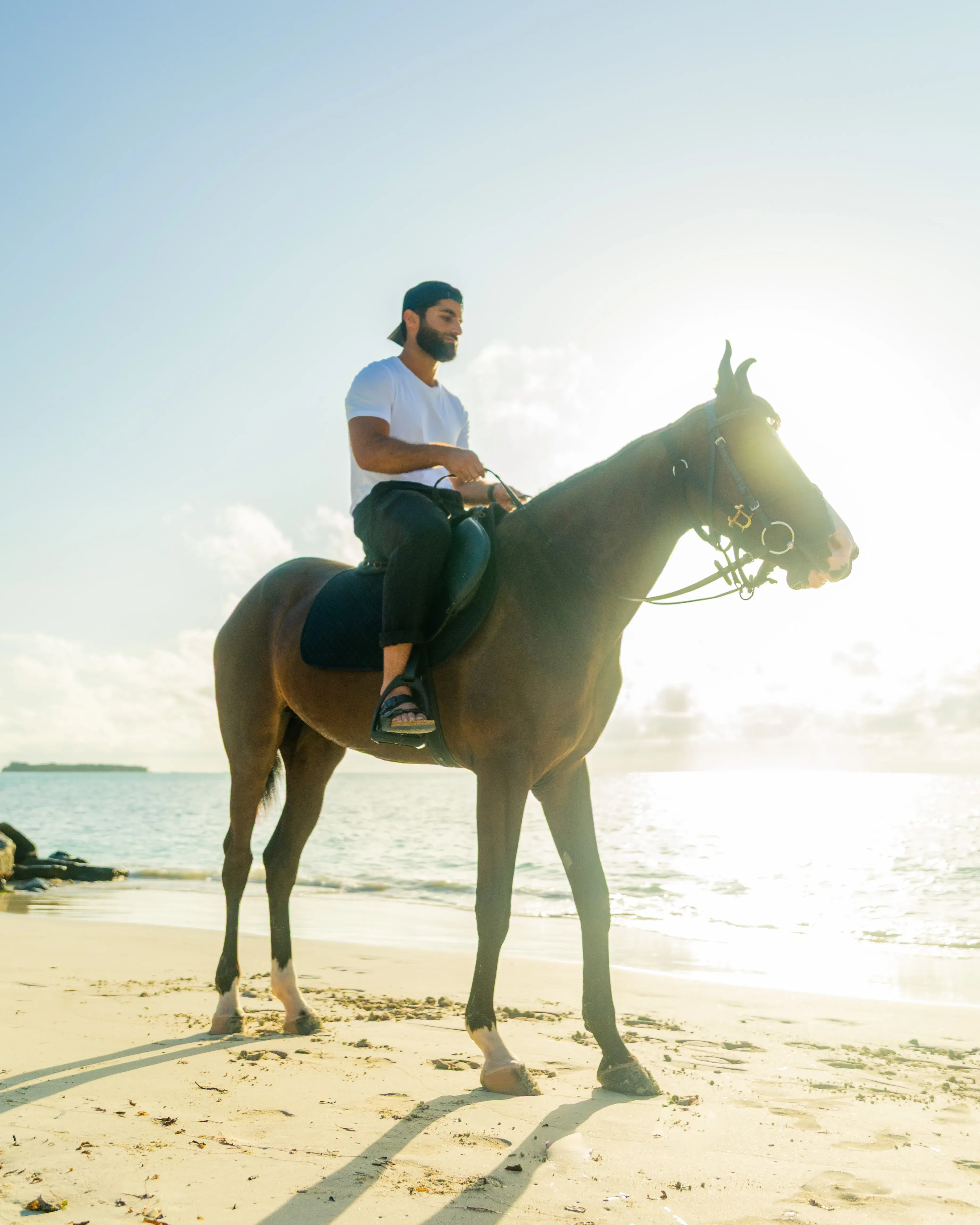 Видеосъемка с дроном на лошадях на Мальдивах gallery image 2