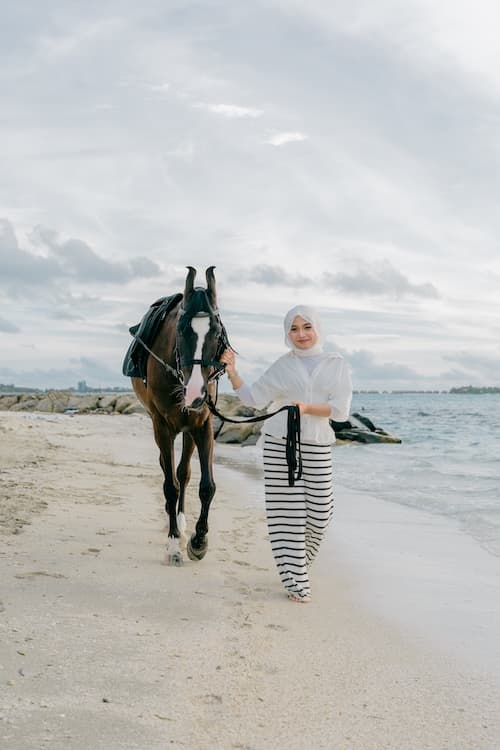Maldives Proposal & Engagement Horse Photoshoots gallery image 1