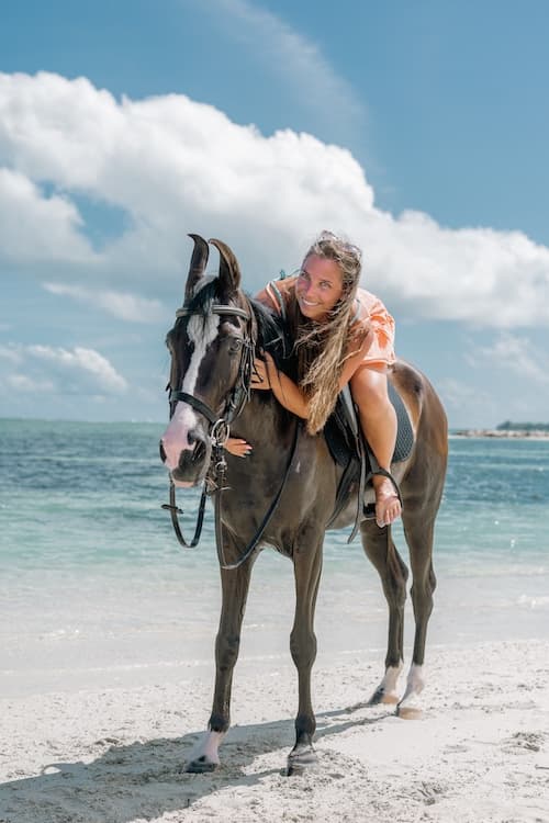 Swim with Horses in Maldives gallery image 3