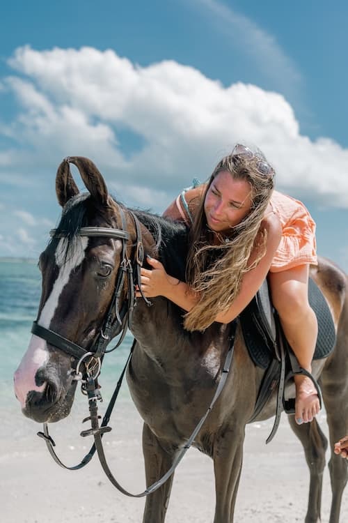 Swim with Horses in Maldives gallery image 2