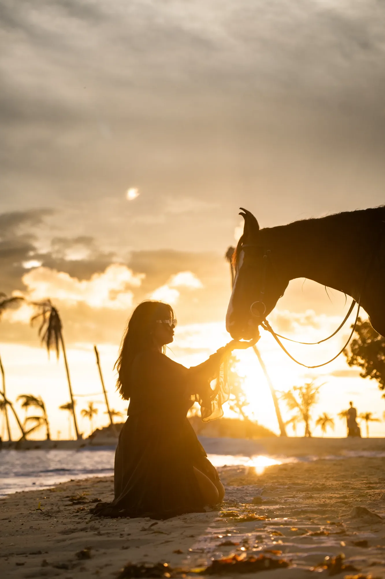 Maldives Horseback Beach Ride 1