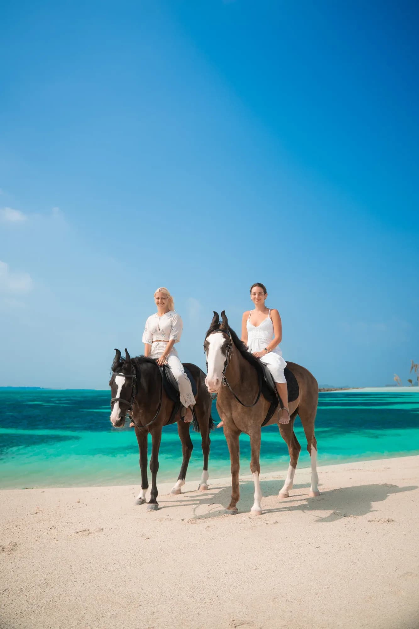 Rider on a horse walking along the shoreline of Maafushi at golden hour