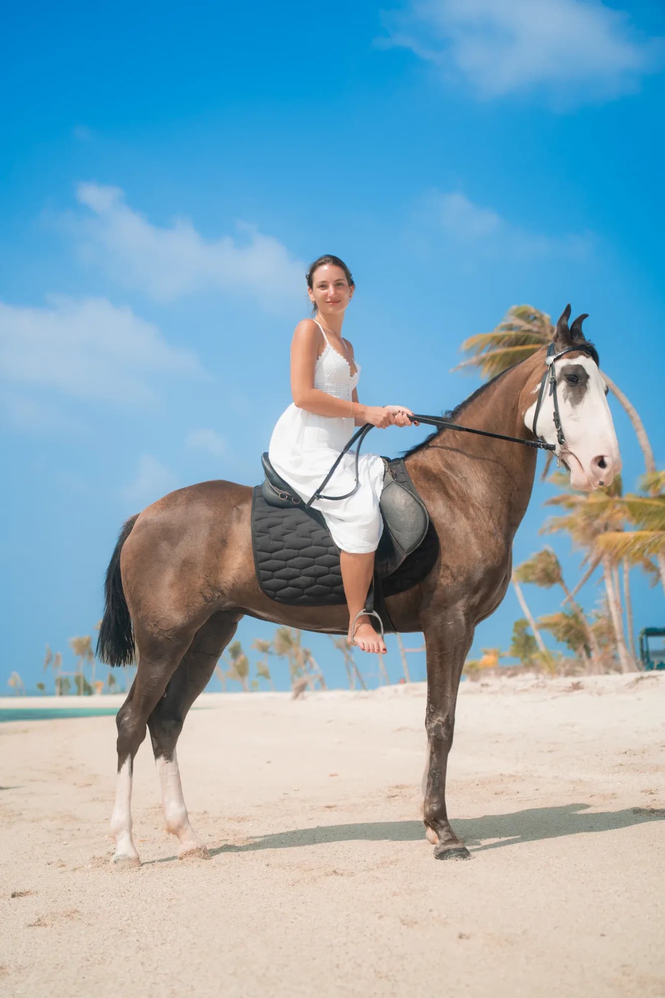 Woman standing beside a Marwari horse on a white-sand beach