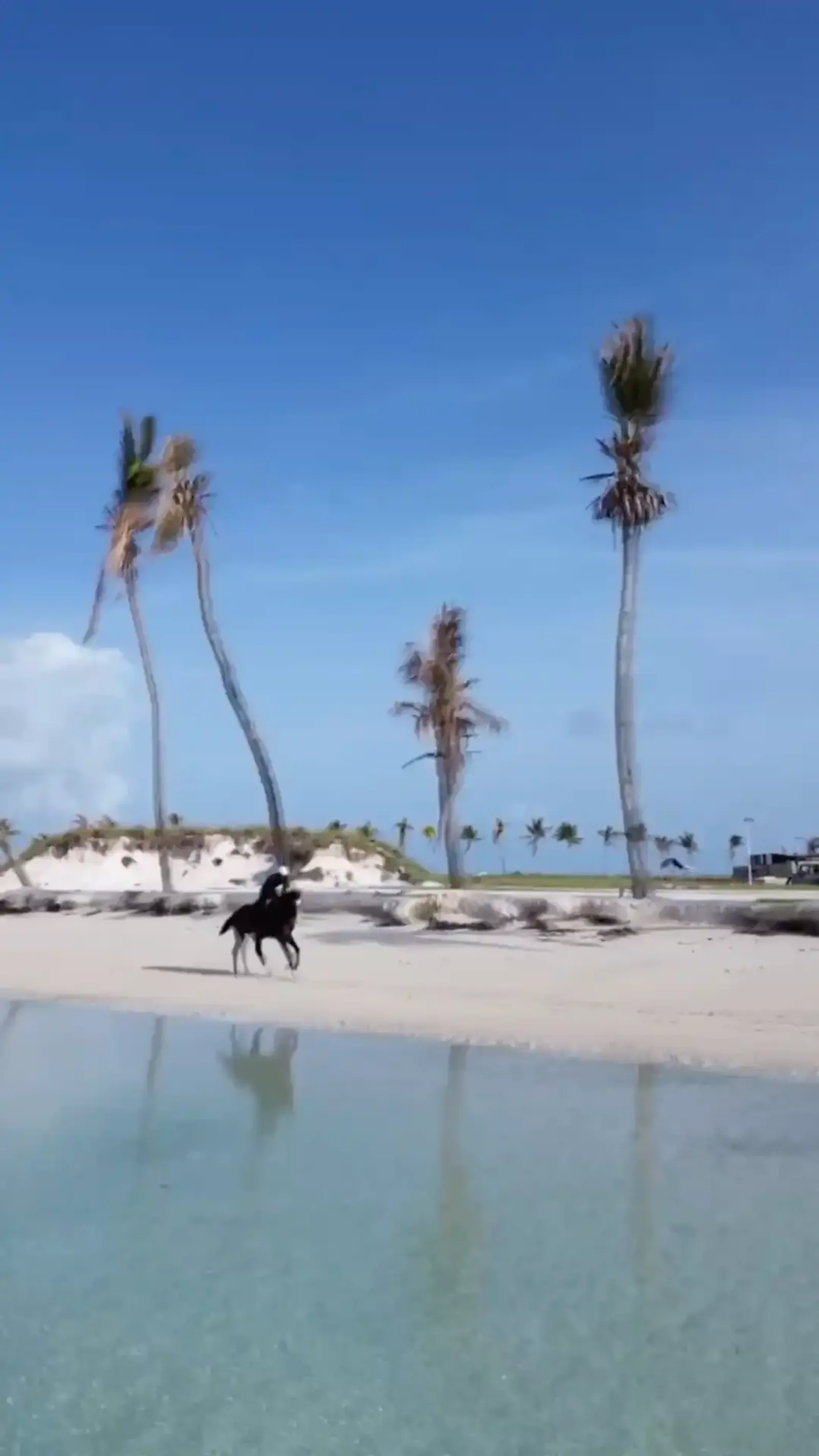 Drone Horse Videography Maldives