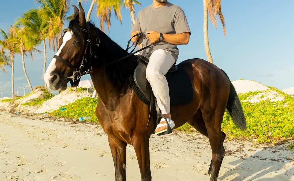 Gia - Beautiful chestnut mare