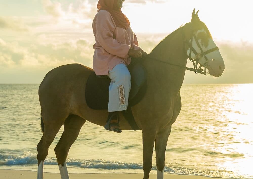 Sophie - Spirited bay mare