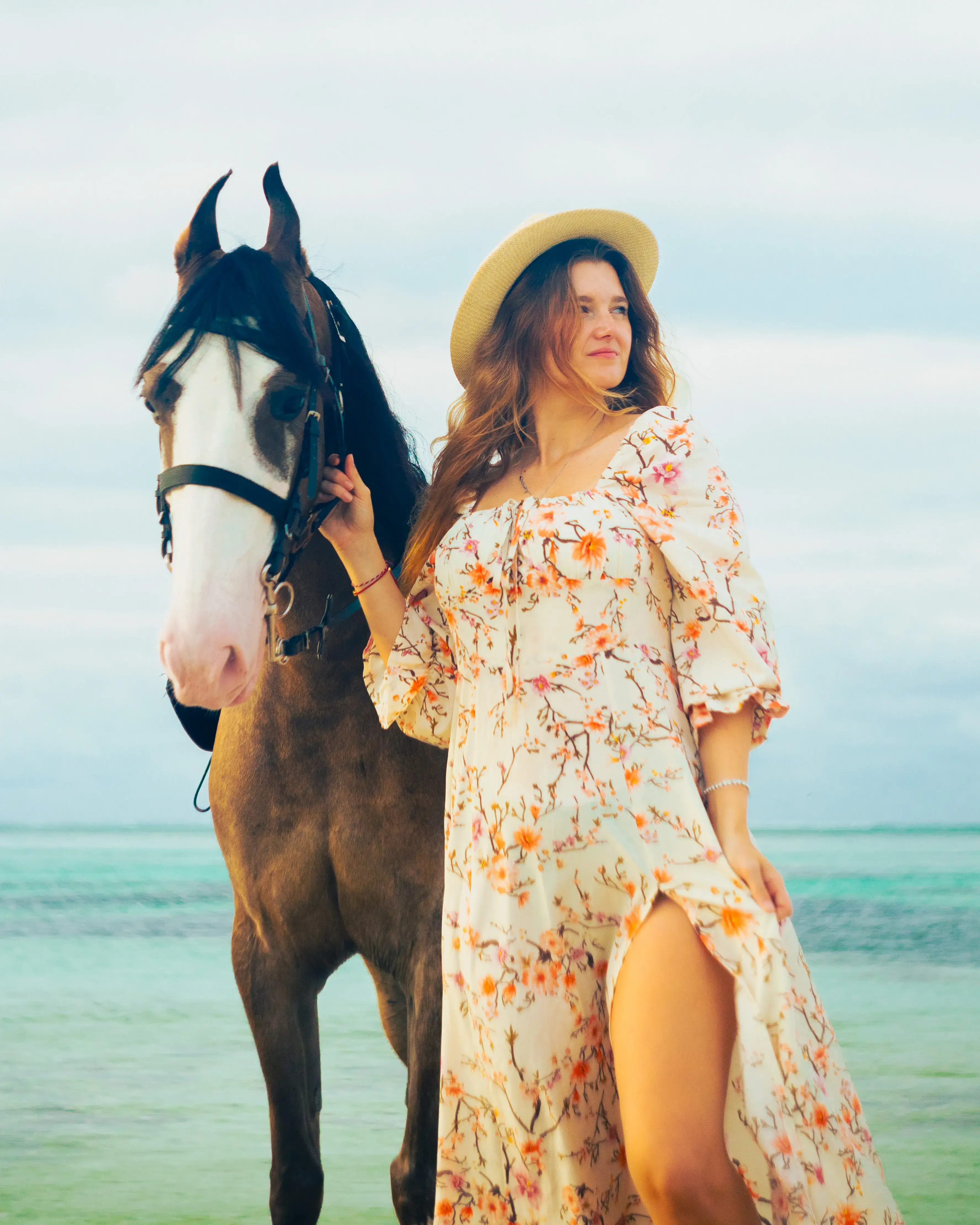 Aerial view of horse riding on the beach